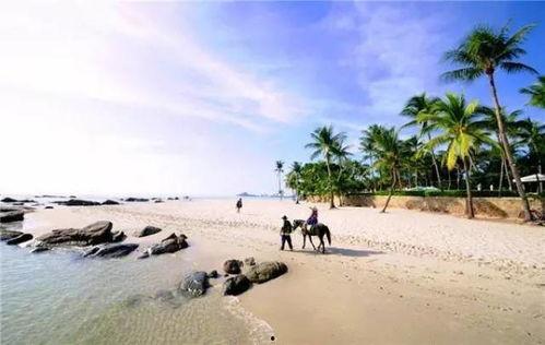 光裕沙滩最新爆料事件是真的吗,真相还是谣言？